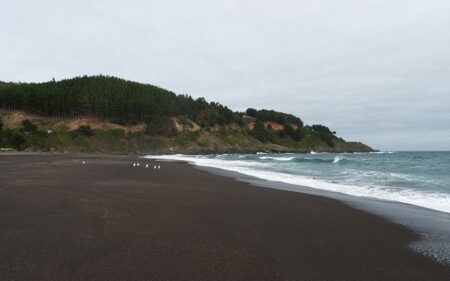 Playa de Buchupureo, Región de Ñuble