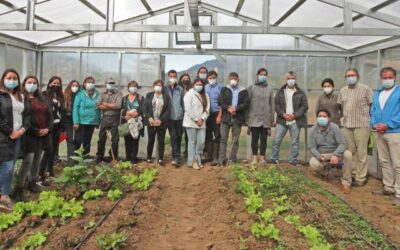 Plan de reactivación basado en turismo y agroecología en Patagonia Verde