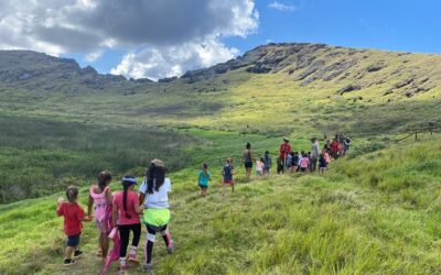 CONAF Rapa Nui retira especies invasoras del humedal Rano Raraku