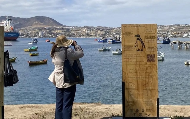 Circuito científico busca acercar las ciencias del mar a visitantes de Coquimbo