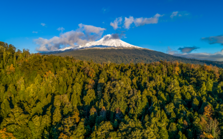 Destaca la incorporación de Áreas Silvestres Protegidas presentes en la comuna, correspondientes a la Reserva Nacional Mocho Choshuenco y el Parque Nacional Villarrica Sur.