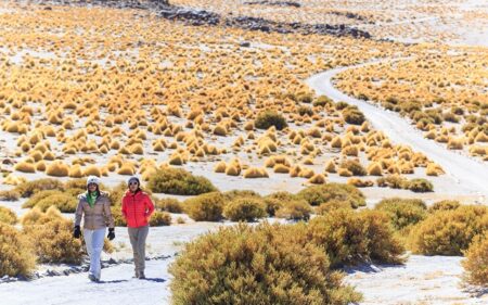 San Pedro de Atacama