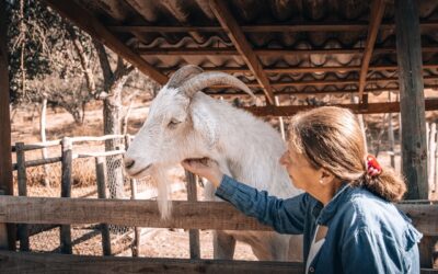 Turismo Rural: potenciar herencia campesina de la Región de O’Higgins