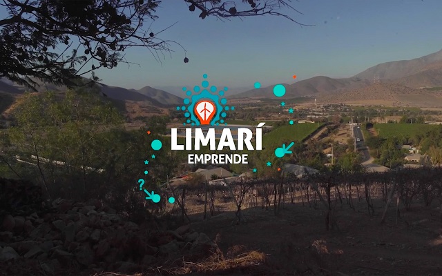 Proyecto “Limarí Emprende” busca potenciar a pymes de innovación