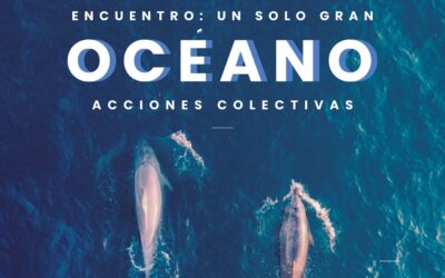 UV y Senado lideran encuentro que conmemora Día Mundial de los Océanos