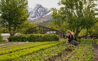 Huerta orgánica: atractiva propuesta post pandemia en las Torres del Paine