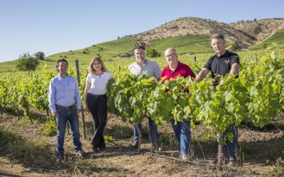 Redescubriendo Colchagua: producciones más recientes de la Viña Estampa