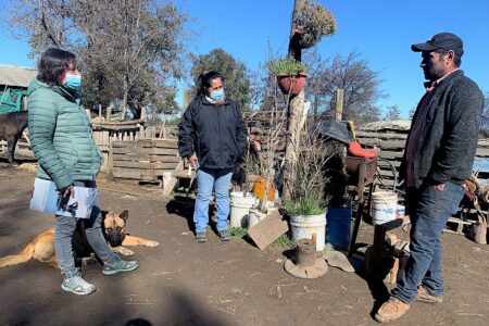 Actividad en terreno