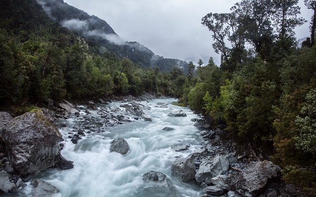 Actualización del plan de manejo del Parque Nacional Hornopirén en nueva etapa