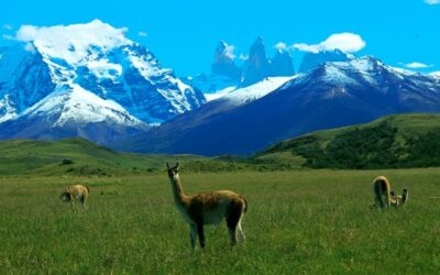 Curso sobre la Ruta de los Parques de la Patagonia para el sector turístico