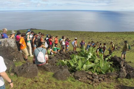 Rescatar la flora endémica y nativa de Rapa Nui 