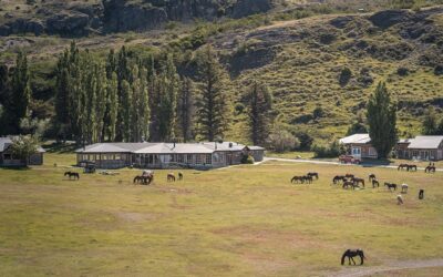 Reserva Las Torres obtuvo certificación EOV de sus praderas en la Patagonia