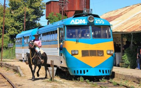 Trenes turísticos