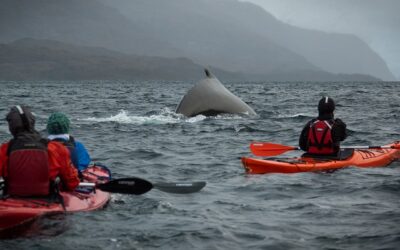 Parques y reservas naturales de Magallanes aumentan visitas en 85%