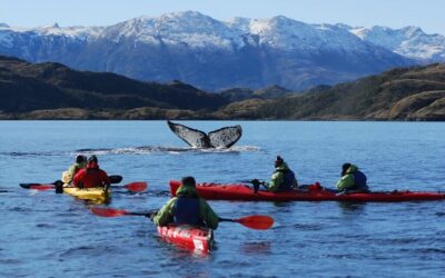 22 empresas de turismo de Magallanes llegan con su oferta a Santiago