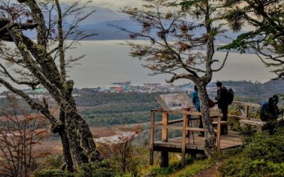 El auge turístico de Puerto Williams, la ciudad más austral del mundo