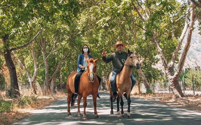 Atractivas experiencias de turismo rural en los Campos de O’Higgins