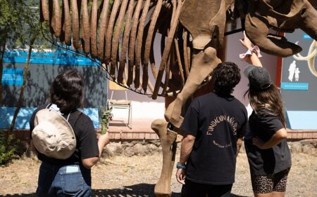 Observaciones arqueológicas y prehistóricas en la Laguna Tagua Tagua