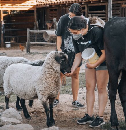 Proyecto de Turismo Rural Sostenible en los Campos de O’Higgins 