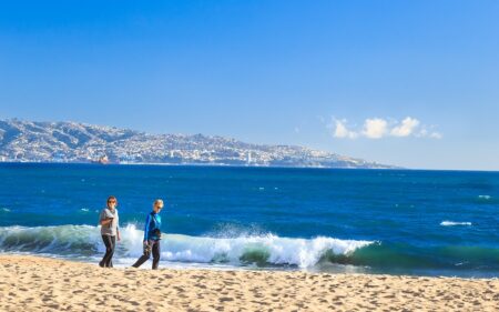 Viña del Mar