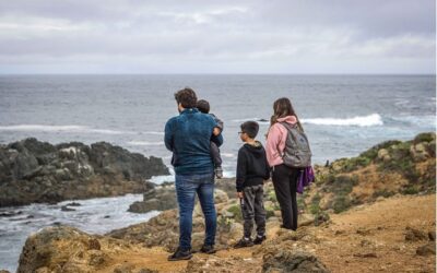 Región de Valparaíso: 54% de ocupación hotelera en vacaciones de invierno