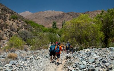 Buscarán soluciones innovadoras a problemas del turismo en Coquimbo