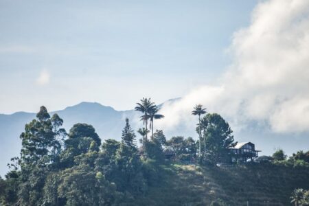 Paisaje cultural cafetero