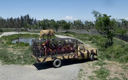 Aventura Safari Rancagua