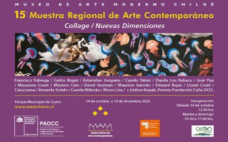 15° Muestra Regional de Arte Contemporáneo del MAM Chiloé