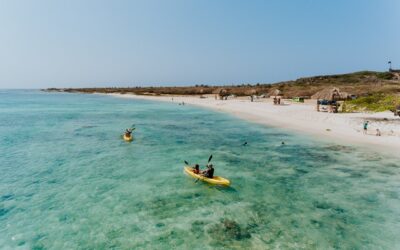 Aruba: 5 actividades para que disfruten los amantes de la naturaleza