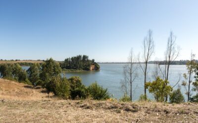 Festival Ladera Sur con información turística para planificar vacaciones