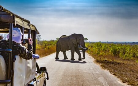 Parque nacional Kruger 