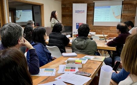 Taller de Devolución y Apropiación en Coyhaique,