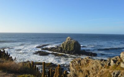 Alcalde Cristián Pozo: “Pichilemu es una ciudad mágica”