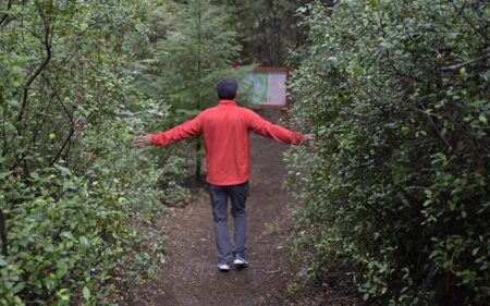 Baños de Bosque en Pucón