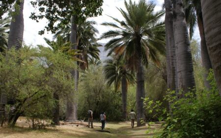 Parque Nacional La Campana