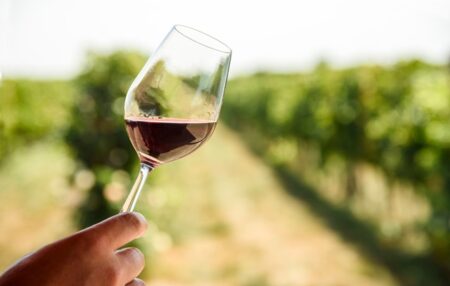 Los viajeros tienen la oportunidad de sumergirse en el mundo del vino