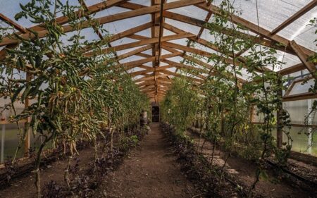 Huerta biointensiva del Hotel Las Torres