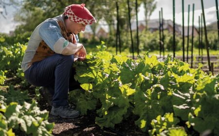 Huerta biointensiva del Hotel Las Torres