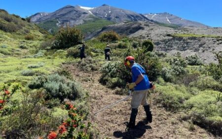 Sendero Base Torres