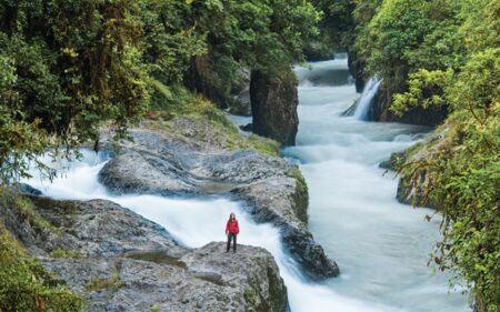 Paraíso para los amantes de la biodiversidad y la naturaleza