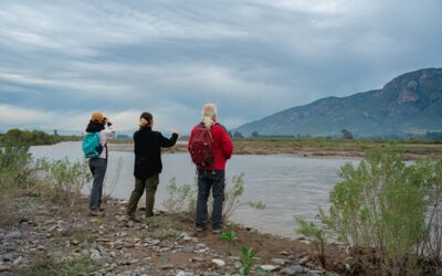 “8 Senderos de Ribera”: oportunidad para rescate y restauración del río Maipo