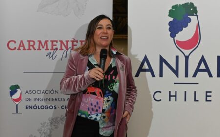 Manuela Astaburuaga, presidenta de ANIAE