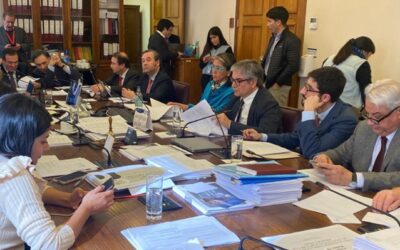 Comisión de Hacienda de la Cámara aprobó proyecto para reactivar el turismo