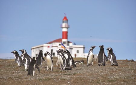 Monumento Natural Los Pingüinos