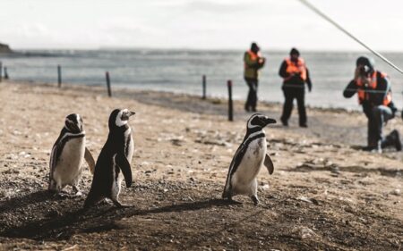 Monumento Natural Los Pingüinos