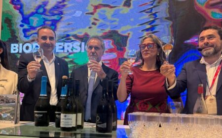 Feria Internacional de Turismo (FIT) 2024