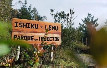 Parque Kunukapi, ‘Parque de Insectos Ishiku Lemu’ (Región de Los Ríos)