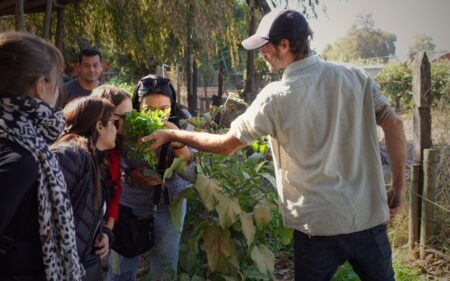 Pucara Travel Spa, ‘Experiencia gastronómica orgánica en el valle del Maipo’