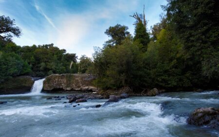 Parque Nacional Puyehue